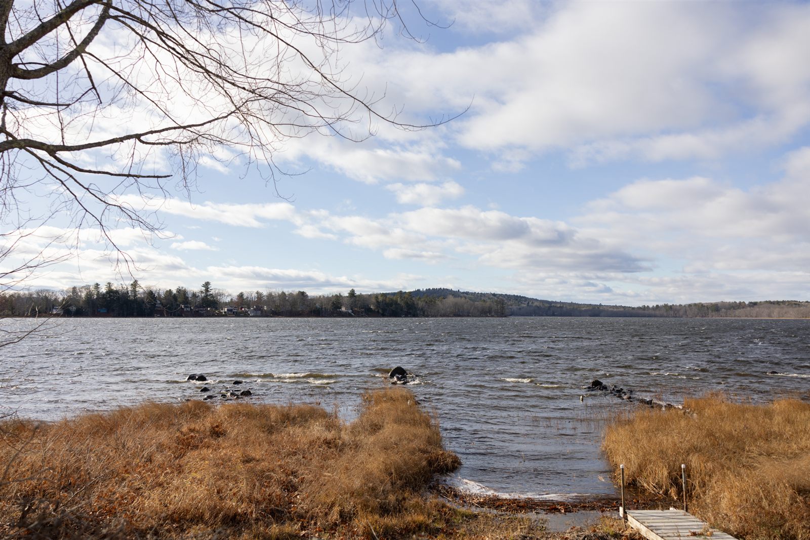 All Seasons Maine View