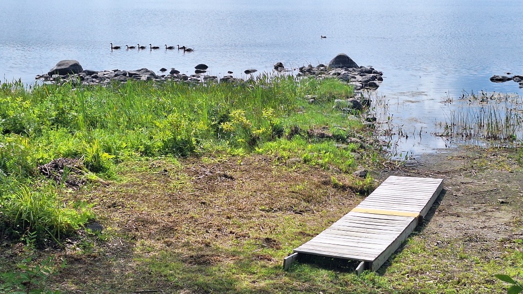 Water Access with Geese